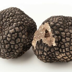 Raw black truffles on white background