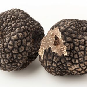 Fresh Black Burgundy Truffles - Tuber Uncinatum