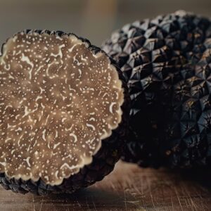 Black Winter Truffle - Tuber Melanosporum