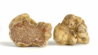 white_truffle_white_bkg